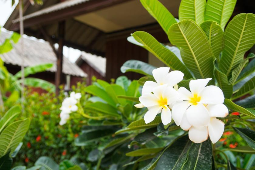 Weekender Bungalow Lamai Beach  Eksteriør billede